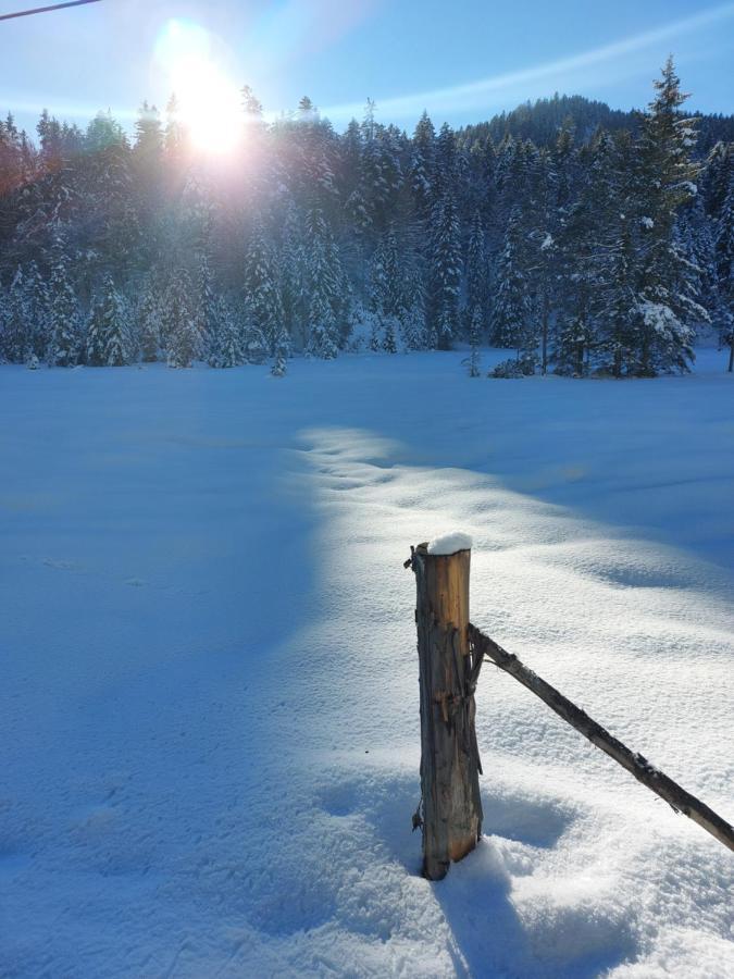 Willa Bichlhof Riedenberg Thiersee Zewnętrze zdjęcie