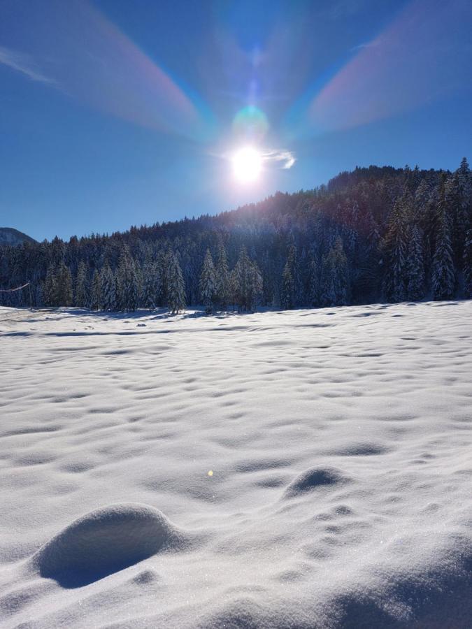 Willa Bichlhof Riedenberg Thiersee Zewnętrze zdjęcie