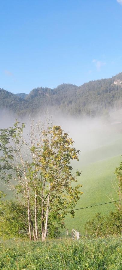 Willa Bichlhof Riedenberg Thiersee Zewnętrze zdjęcie
