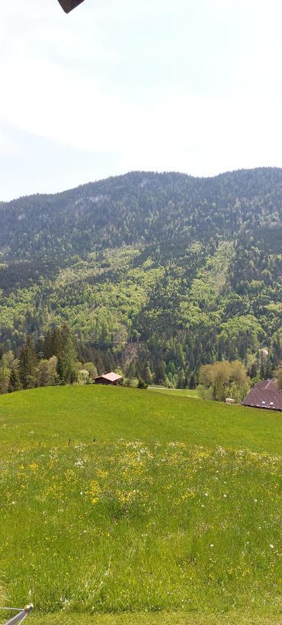 Willa Bichlhof Riedenberg Thiersee Zewnętrze zdjęcie