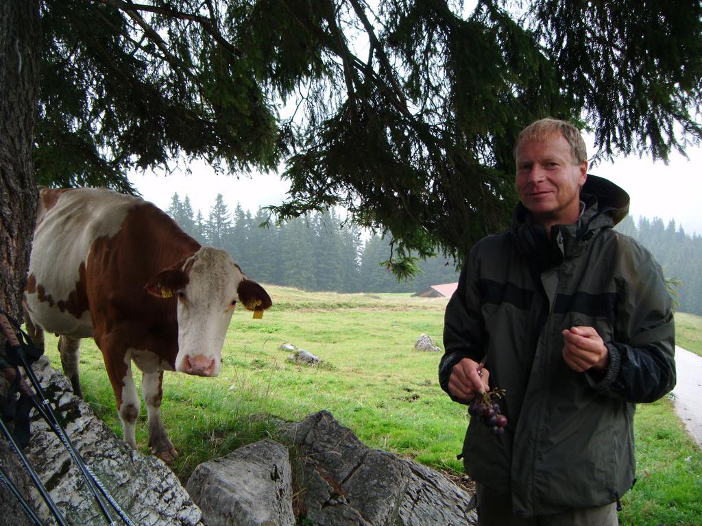 Willa Bichlhof Riedenberg Thiersee Zewnętrze zdjęcie